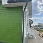 Дом Романовых